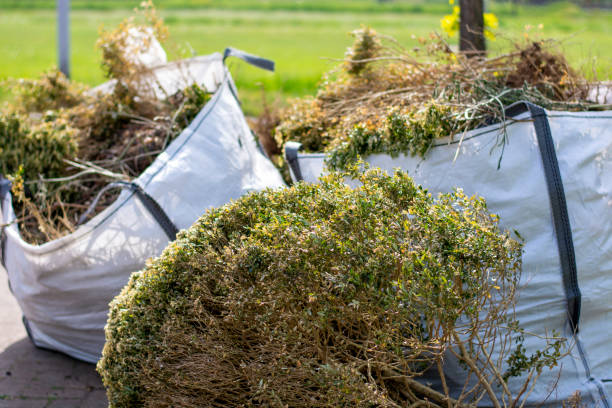 Best Moving and Downsizing Cleanouts  in Butler, AL